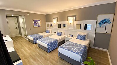 Gypsophila Marine Oda