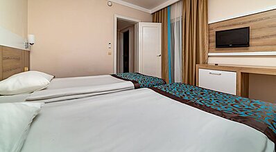 Gypsophila Marine Oda