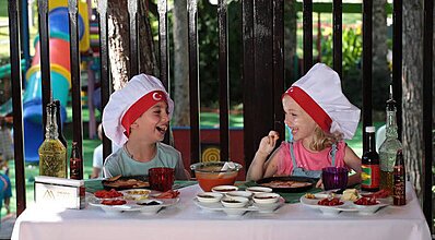 Gypsophila Marine Genel Görünüm