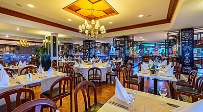 Gypsophila Marine Yeme / İçme