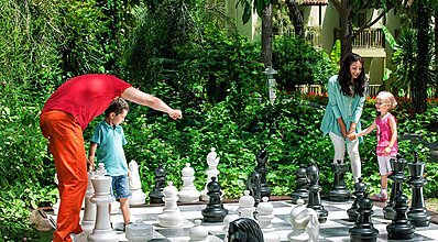 Gypsophila Marine Genel Görünüm