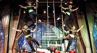 Gypsophila Marine Genel Görünüm