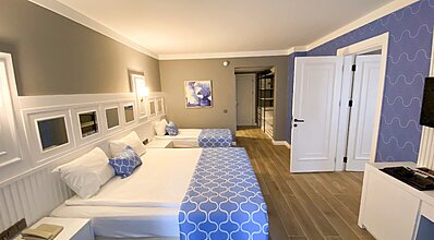 Gypsophila Marine Oda