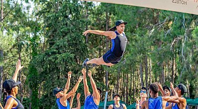 Gypsophila Marine Genel Görünüm