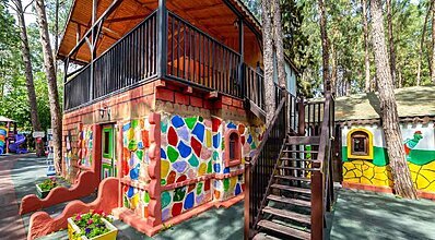 Gypsophila Marine Genel Görünüm