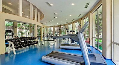 Gypsophila Marine Genel Görünüm