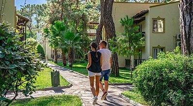 Gypsophila Marine Genel Görünüm