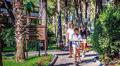 Gypsophila Marine Genel Görünüm