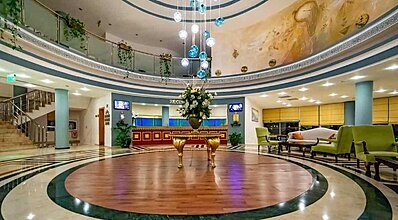 Gypsophila Marine Genel Görünüm