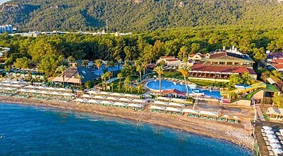 Gypsophila Marine Genel Görünüm