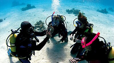 Hillside Beach Club Genel Görünüm