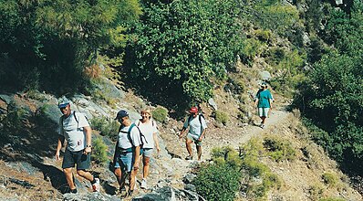 Hillside Beach Club Genel Görünüm