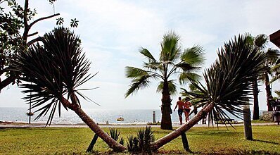 Horus Paradise Luxury Resort Genel Görünüm