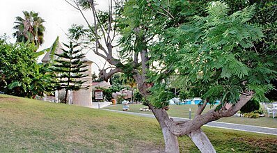 Horus Paradise Luxury Resort Genel Görünüm