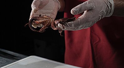 Hotel Azmakhan Yeme / İçme