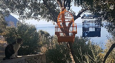 Kalamar Hotel Genel Görünüm