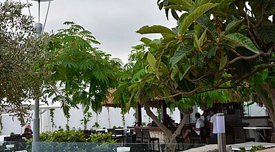 Kalamar Hotel Genel Görünüm