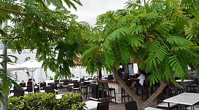 Kalamar Hotel Yeme / İçme