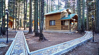 Karinna Orman Köşkleri Genel Görünüm