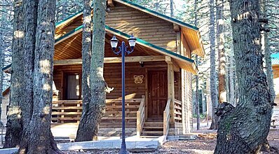 Karinna Orman Köşkleri Genel Görünüm