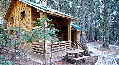 Karinna Orman Köşkleri Genel Görünüm