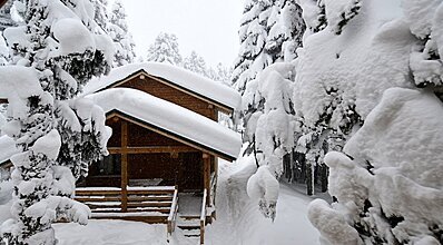 Karinna Orman Köşkleri Genel Görünüm