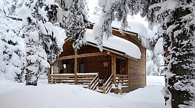 Karinna Orman Köşkleri Genel Görünüm