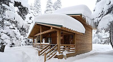 Karinna Orman Köşkleri Genel Görünüm