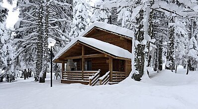 Karinna Orman Köşkleri Genel Görünüm