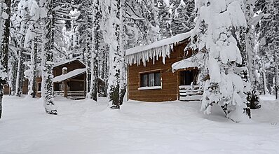 Karinna Orman Köşkleri Genel Görünüm