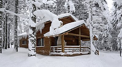 Karinna Orman Köşkleri Genel Görünüm