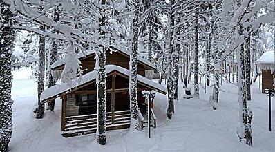 Karinna Orman Köşkleri Genel Görünüm
