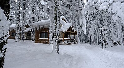 Karinna Orman Köşkleri Genel Görünüm
