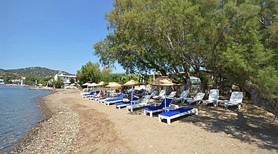 Ladonia Hotels Zemda Gümüşlük Havuz / Deniz