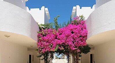 Ladonia Hotels Zemda Gümüşlük Genel Görünüm