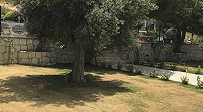 Life Point Hotel Genel Görünüm