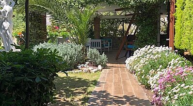 Liona Hotel Genel Görünüm