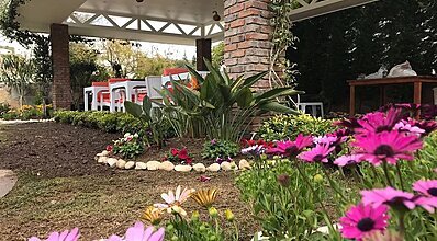 Liona Hotel Genel Görünüm