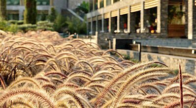 Lujo Hotel Bodrum Genel Görünüm