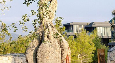 Lujo Hotel Bodrum Genel Görünüm