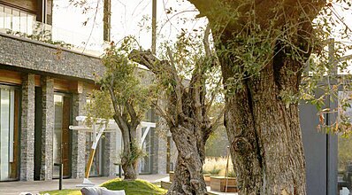 Lujo Hotel Bodrum Genel Görünüm