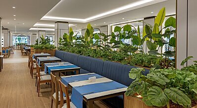 Marvida Family Eco Yeme / İçme