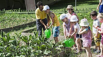 Marvida Family Eco Genel Görünüm