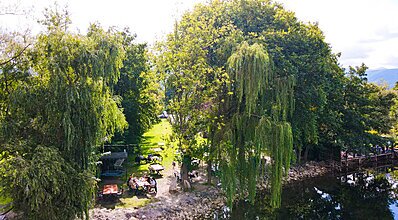 Meca Deluxe Otel Sapanca Genel Görünüm