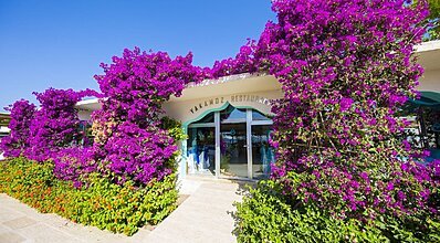 Miarosa Kemer Beach Genel Görünüm