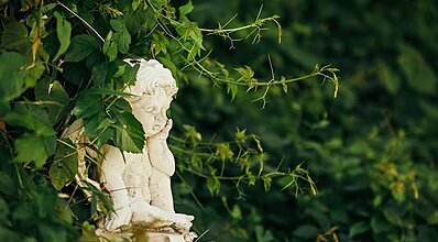 Monta Verde Hotel Genel Görünüm