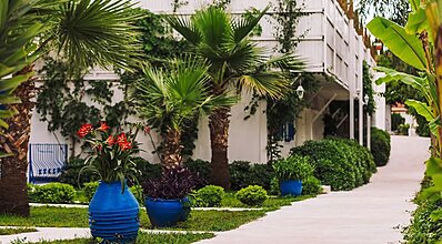 Monta Verde Hotel Genel Görünüm