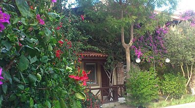 Moonshine Hotel & Suites Genel Görünüm