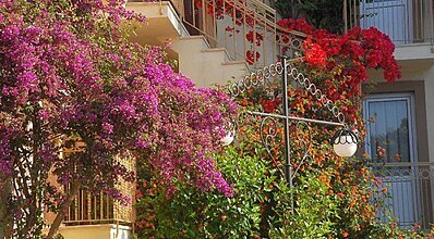 Moonshine Hotel & Suites Genel Görünüm