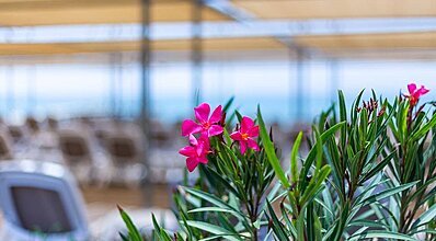 Orange County Resort Belek Havuz / Deniz